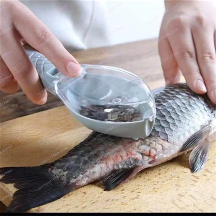Popular Fish Scale Scraping Ar - đánh giá và giá Kitchen Gadgets Popular