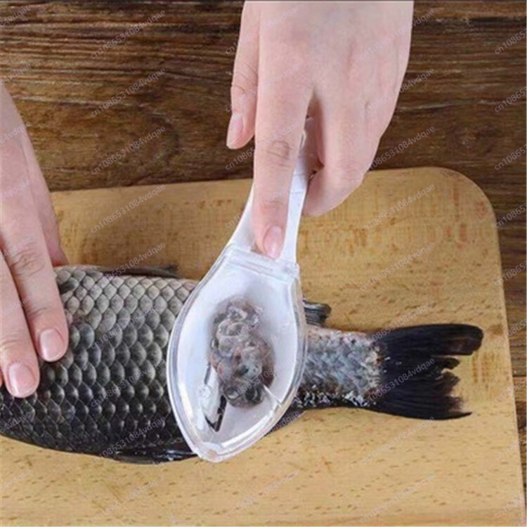 Popular Fish Scale Scraping Ar - đánh giá và giá Kitchen Gadgets Popular